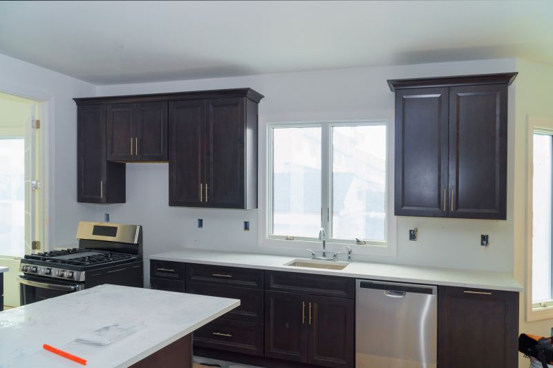 Built In Cabinetry Staining in Terre Haute, IN